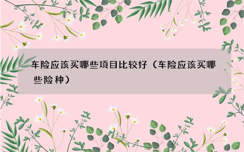 车险应该买哪些项目比较好（车险应该买哪些险种）