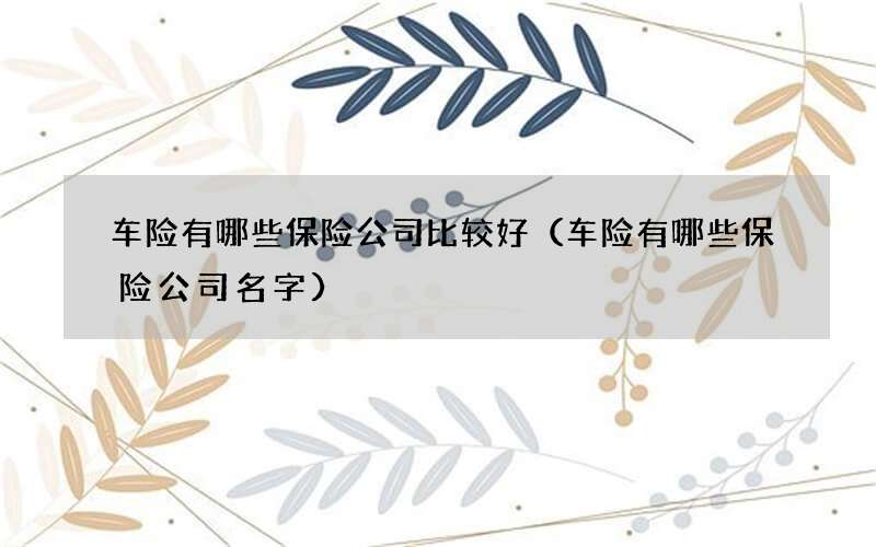车险有哪些保险公司比较好（车险有哪些保险公司名字）