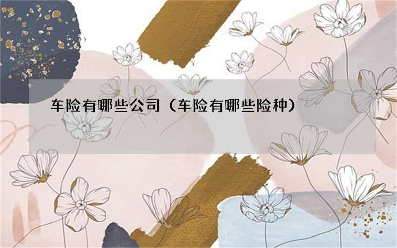 车险有哪些公司（车险有哪些险种）
