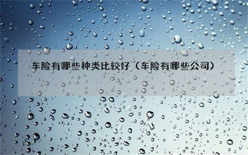 车险有哪些种类比较好（车险有哪些公司）