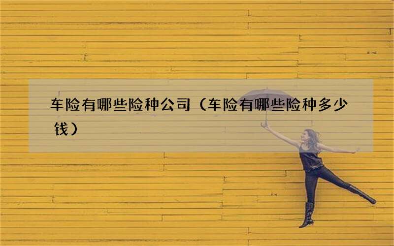 车险有哪些险种公司（车险有哪些险种多少钱）