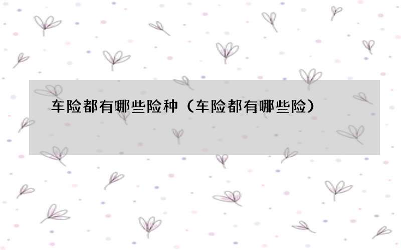 车险都有哪些险种（车险都有哪些险）
