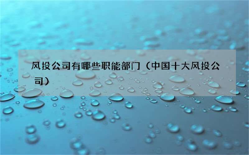 风投公司有哪些职能部门（中国十大风投公司）